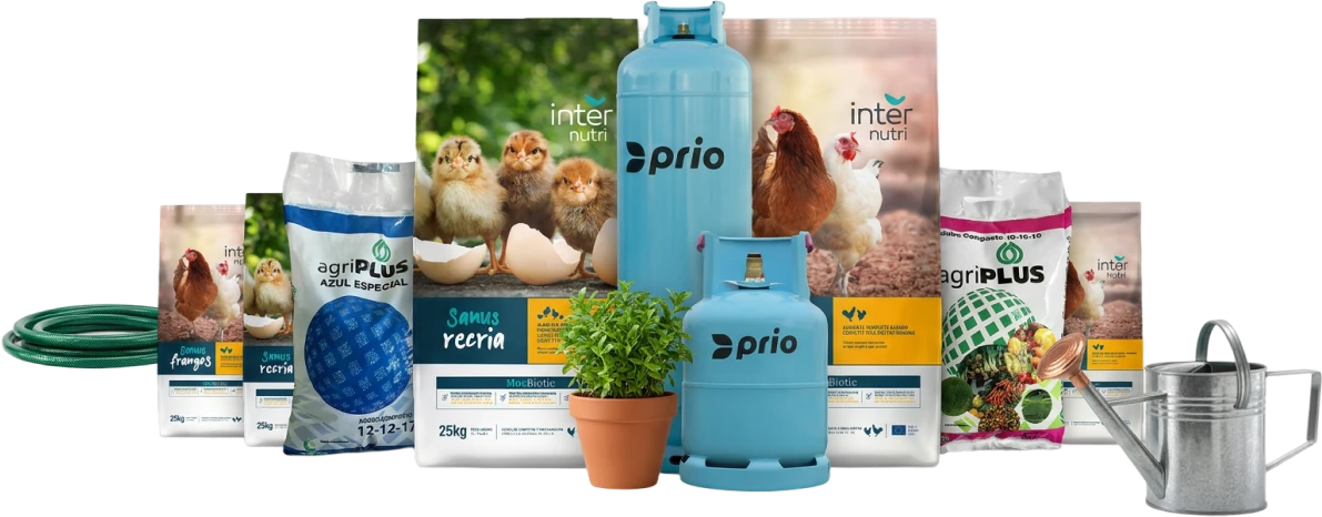 Produtos Chama Laranjada, gás, produtos agrícolas e para animais